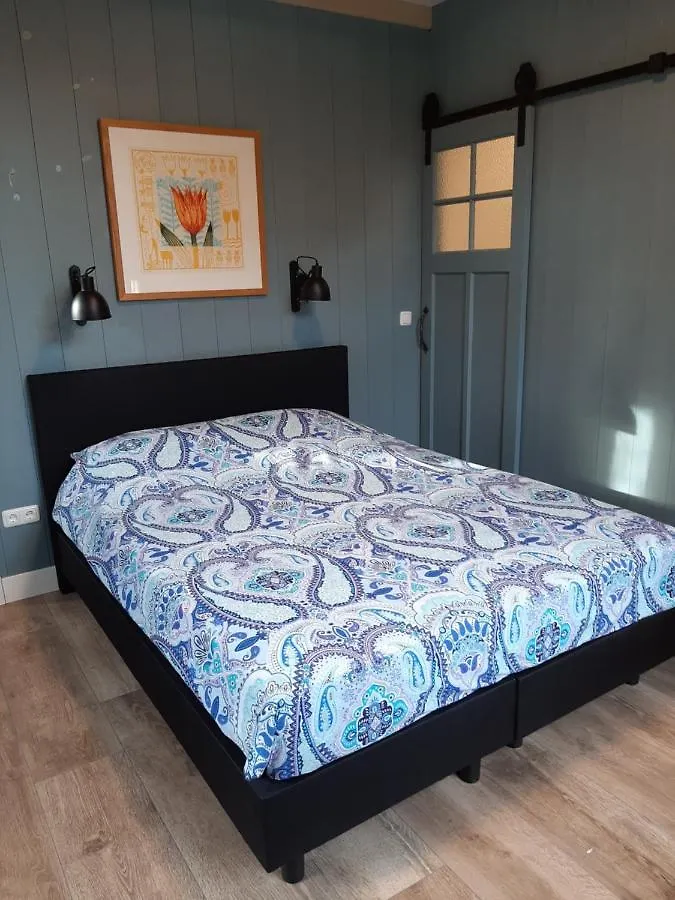 B & B Tulp Amsterdam Noord